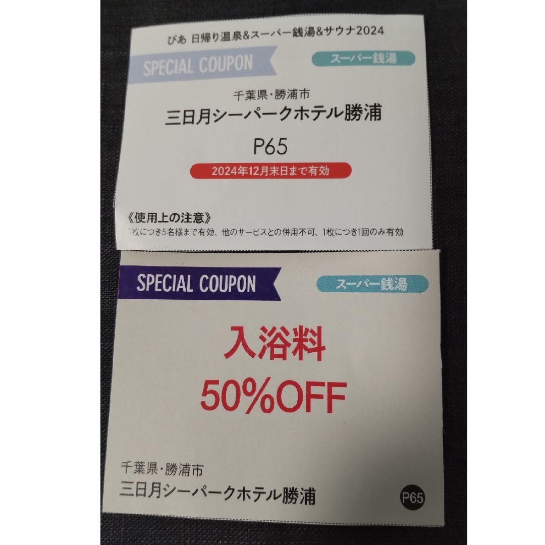 三日月シーパークホテル勝浦入浴料割引券2枚 エンタメ/ホビーのエンタメ その他(その他)の商品写真