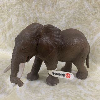 schleich シュライヒ　ゾウ　オス　廃盤(フィギュア)