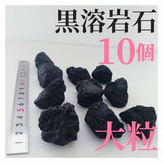 【希少】黒溶岩石 10個 【大粒】☆アクアリウム、テラリウム、コケリウムに最適(アクアリウム)