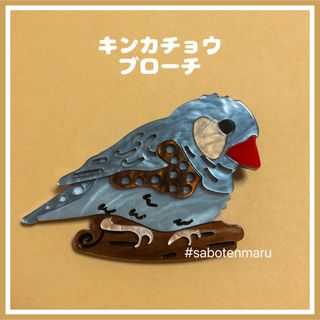 【匿名発送】キンカチョウのアクリルブローチ　鳥雑貨(ブローチ/コサージュ)