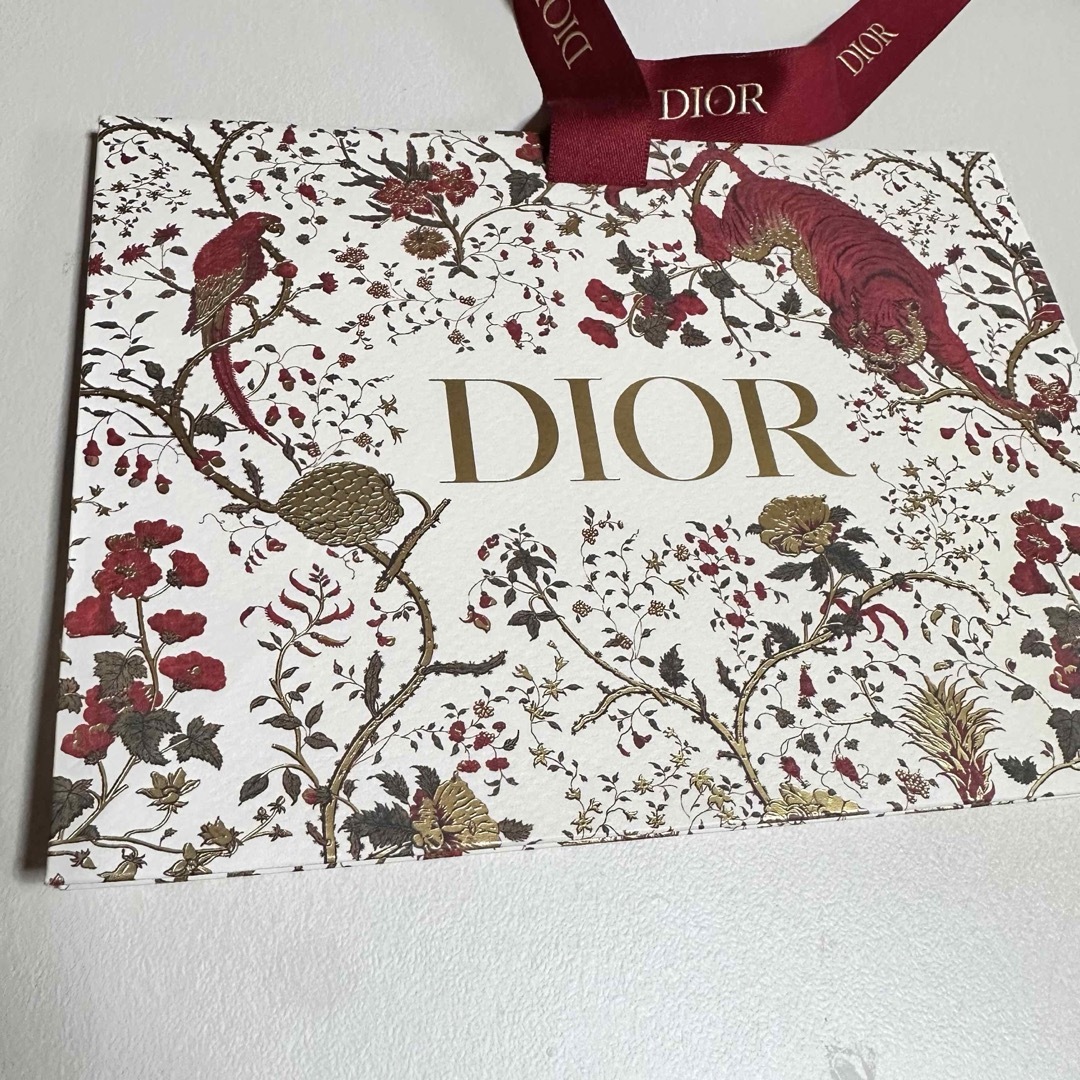 Christian Dior(クリスチャンディオール)のディオール/リボン付きショッパー3枚 レディースのバッグ(ショップ袋)の商品写真