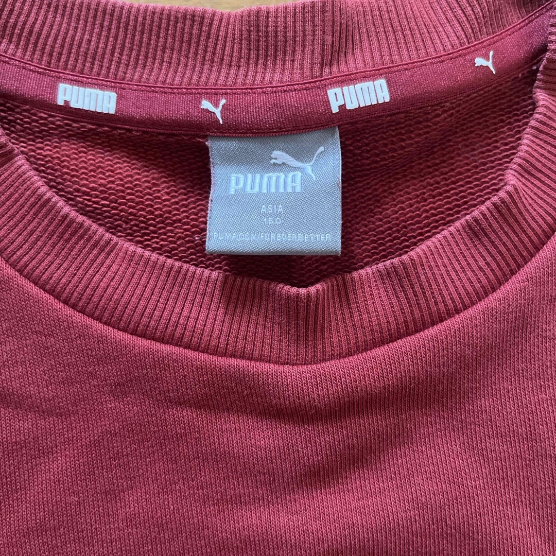 PUMA(プーマ)のPUMAトレーナー　150 キッズ/ベビー/マタニティのキッズ服男の子用(90cm~)(Tシャツ/カットソー)の商品写真