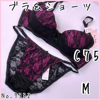 ブラジャーショーツセットC75    No.7332(ブラ&ショーツセット)