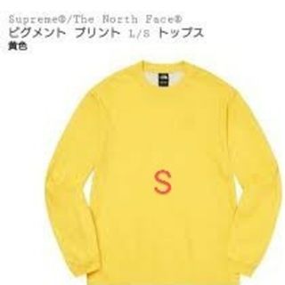 シュプリーム(Supreme)のSupreme North Face Pigment Printed L/S t(Tシャツ/カットソー(七分/長袖))