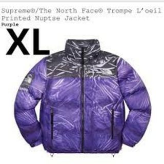 シュプリーム(Supreme)のSupreme / The North Face Trompe Loeil(ダウンジャケット)