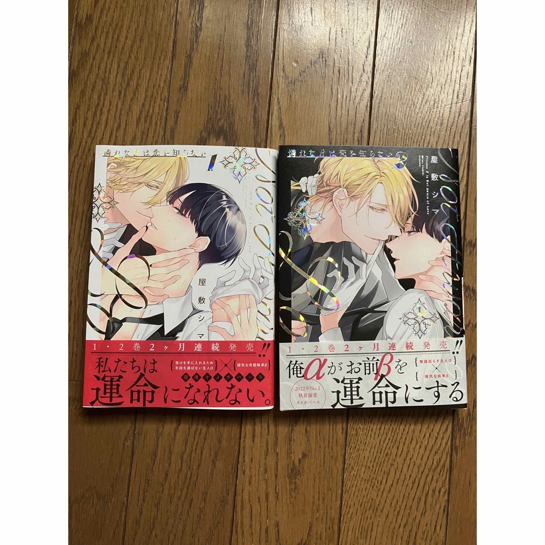 憐れなβは恋を知らない　1巻2巻　屋敷シマ先生 エンタメ/ホビーの漫画(ボーイズラブ(BL))の商品写真