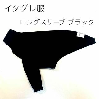 used clothes deal様専用　イタグレ服　おまとめ2点(ペット服/アクセサリー)