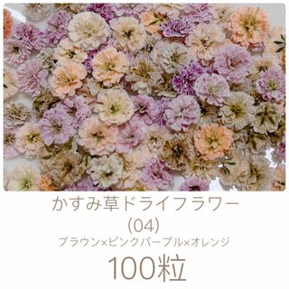 (04)かすみ草ドライフラワー100粒(ドライフラワー)