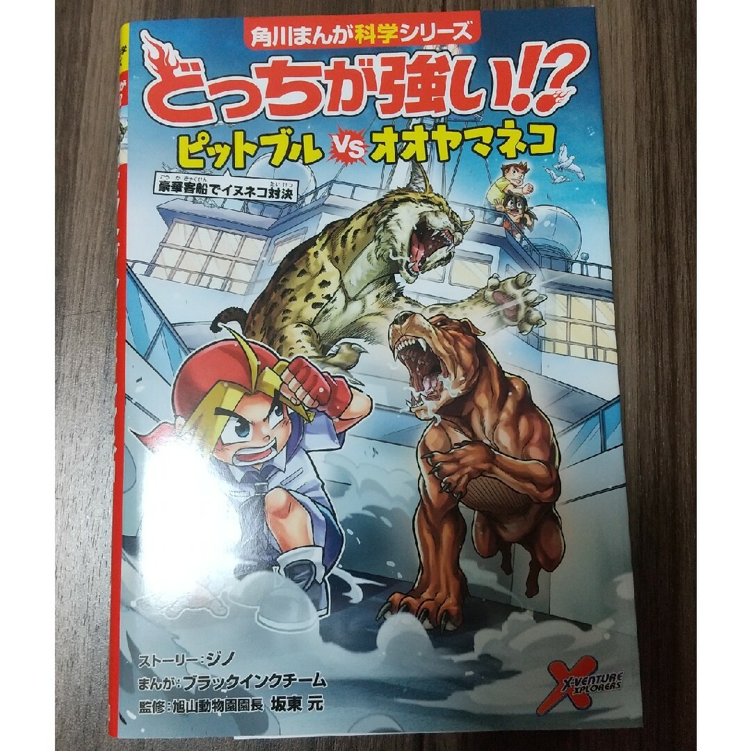 専用☆どっちが強い！？コブハクチョウVSオオカモメ☆ エンタメ/ホビーの本(絵本/児童書)の商品写真