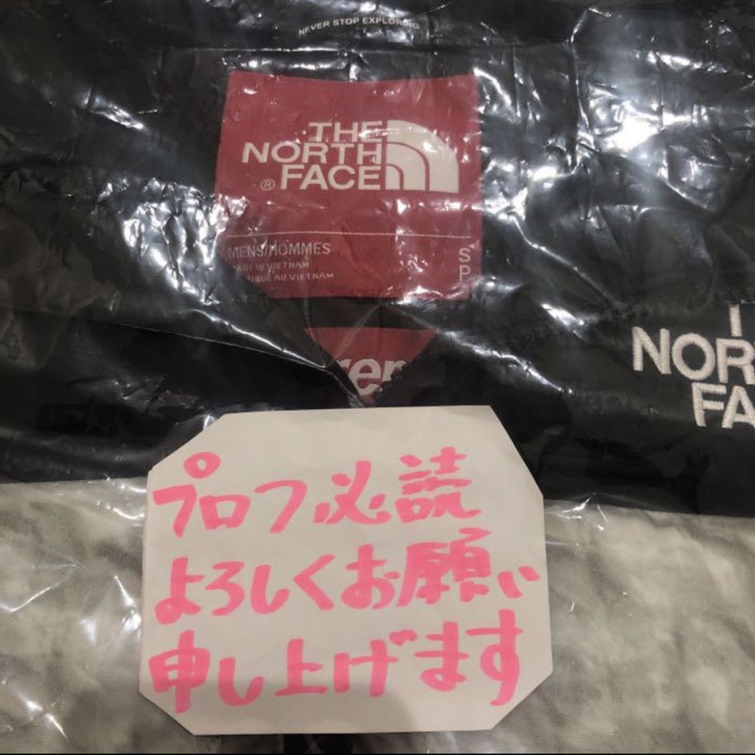 Supreme(シュプリーム)の希少S Supreme North Face Paper Nuptse 紙ヌプシ メンズのジャケット/アウター(ダウンジャケット)の商品写真