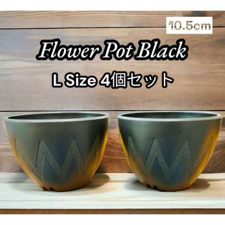 新品　ブラック植木鉢　4個セット　Agave グラキリス　(プランター)