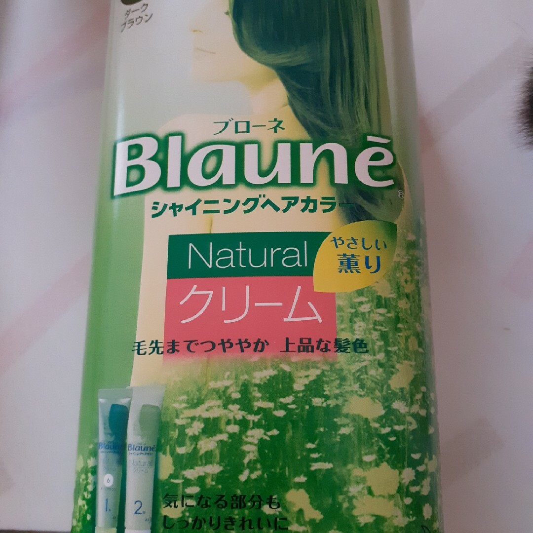 ブローネシャイニングヘアカラー その他のその他(その他)の商品写真