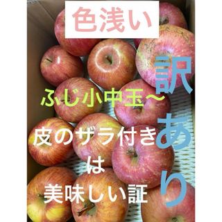 減農薬栽培山形県東根市産ふじ超小玉〜小玉独自の保存法色浅い訳あり10kジャスト(フルーツ)