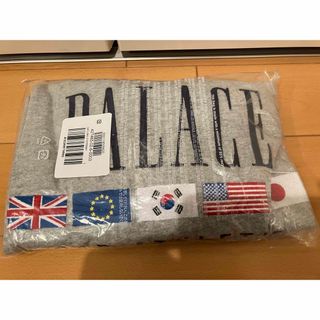 パレス(PALACE)のGAP PALACE Tシャツ　Lサイズ　新品未着用(Tシャツ/カットソー(半袖/袖なし))