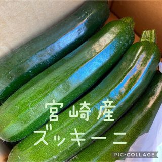 群馬県産 朝採り 新鮮 ハウス栽培 きゅうり1.2㎏送料込 日付指定不可の