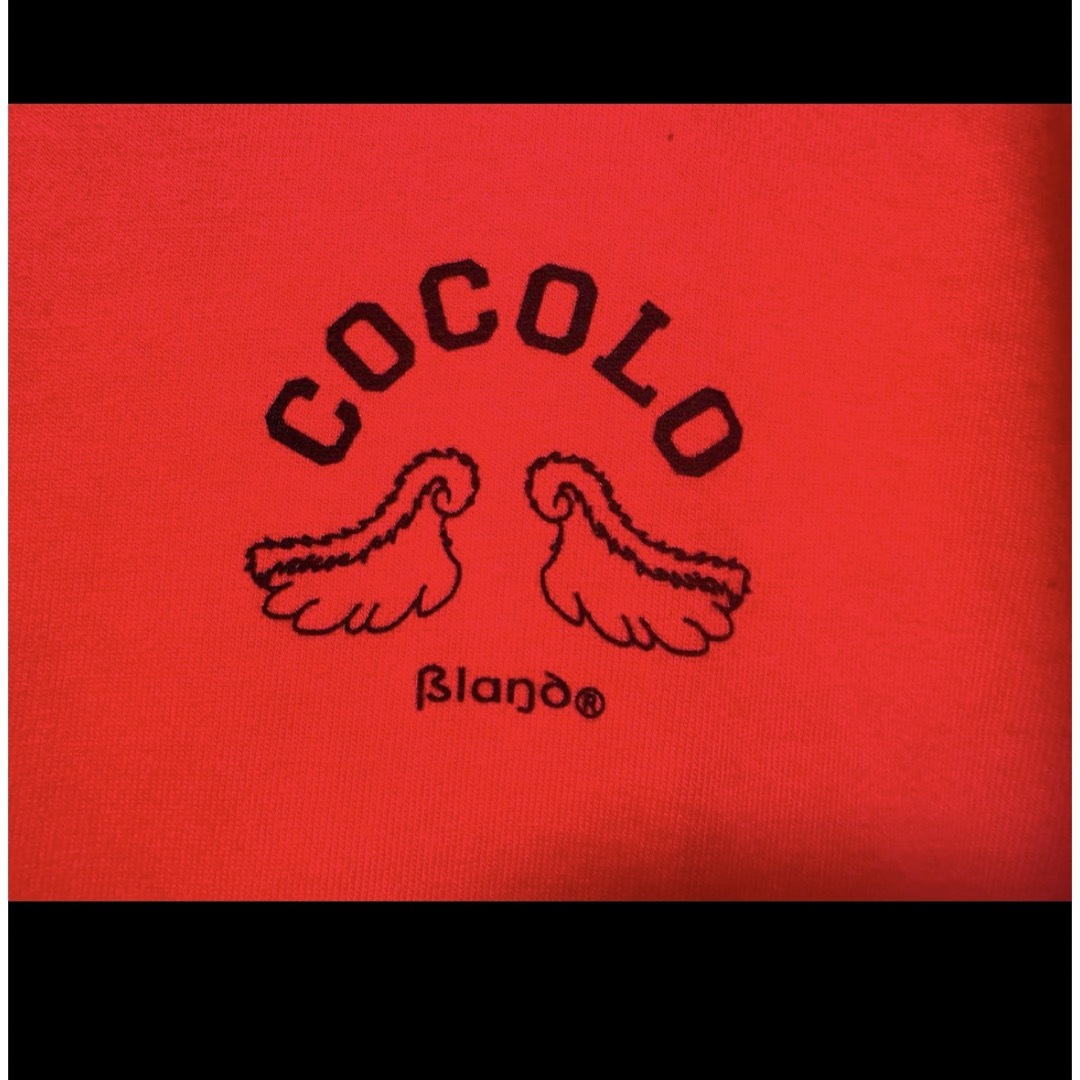 COCOLOBLAND(ココロブランド)の古着✨️COCOLO BRAND sizeM 半袖 レディースのトップス(Tシャツ(半袖/袖なし))の商品写真