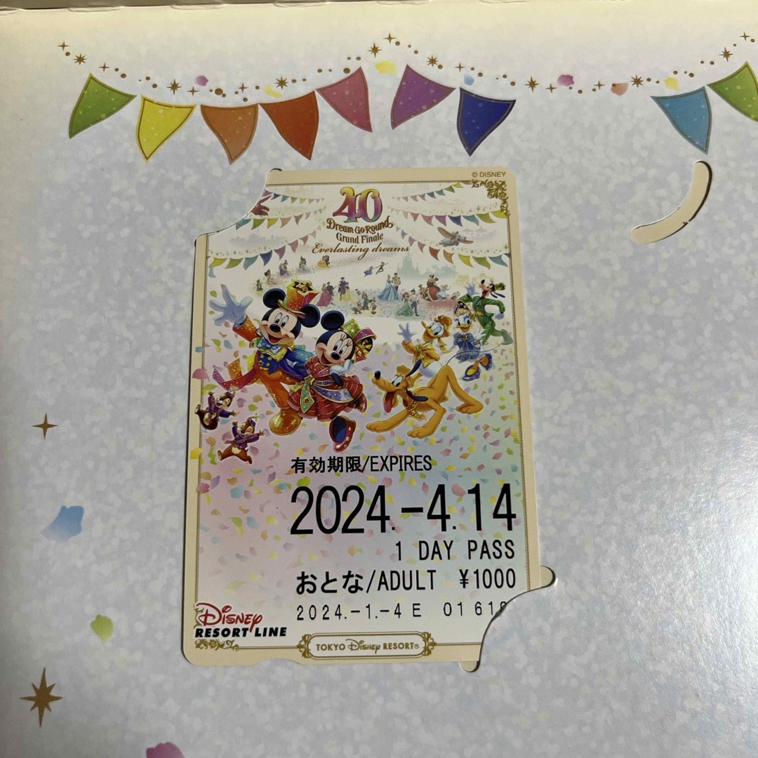 Disney(ディズニー)のリゾラ　フリーきっぷ　ディズニー　４０周年 エンタメ/ホビーのおもちゃ/ぬいぐるみ(キャラクターグッズ)の商品写真