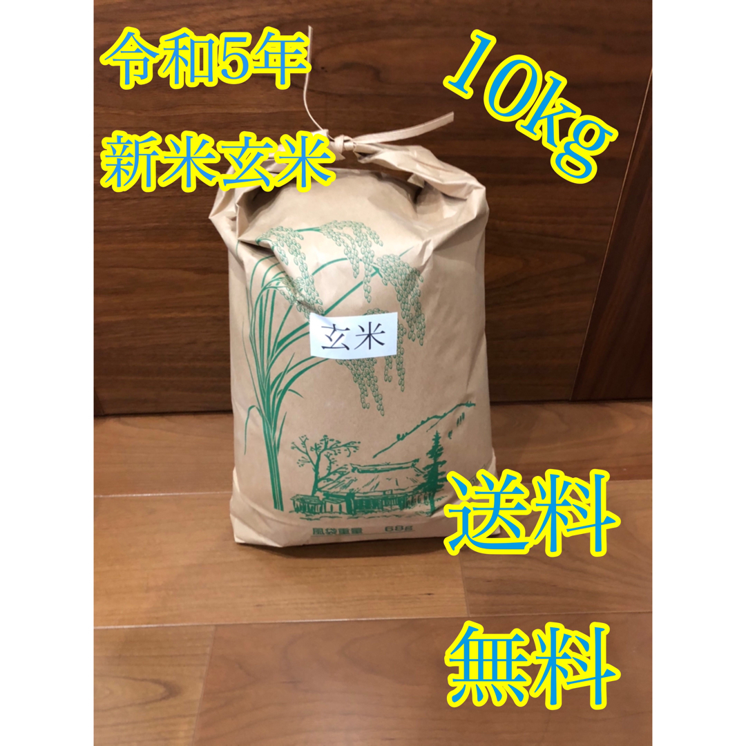 令和5年度産 新米 玄米ヒノヒカリ10kg  食品/飲料/酒の食品(米/穀物)の商品写真