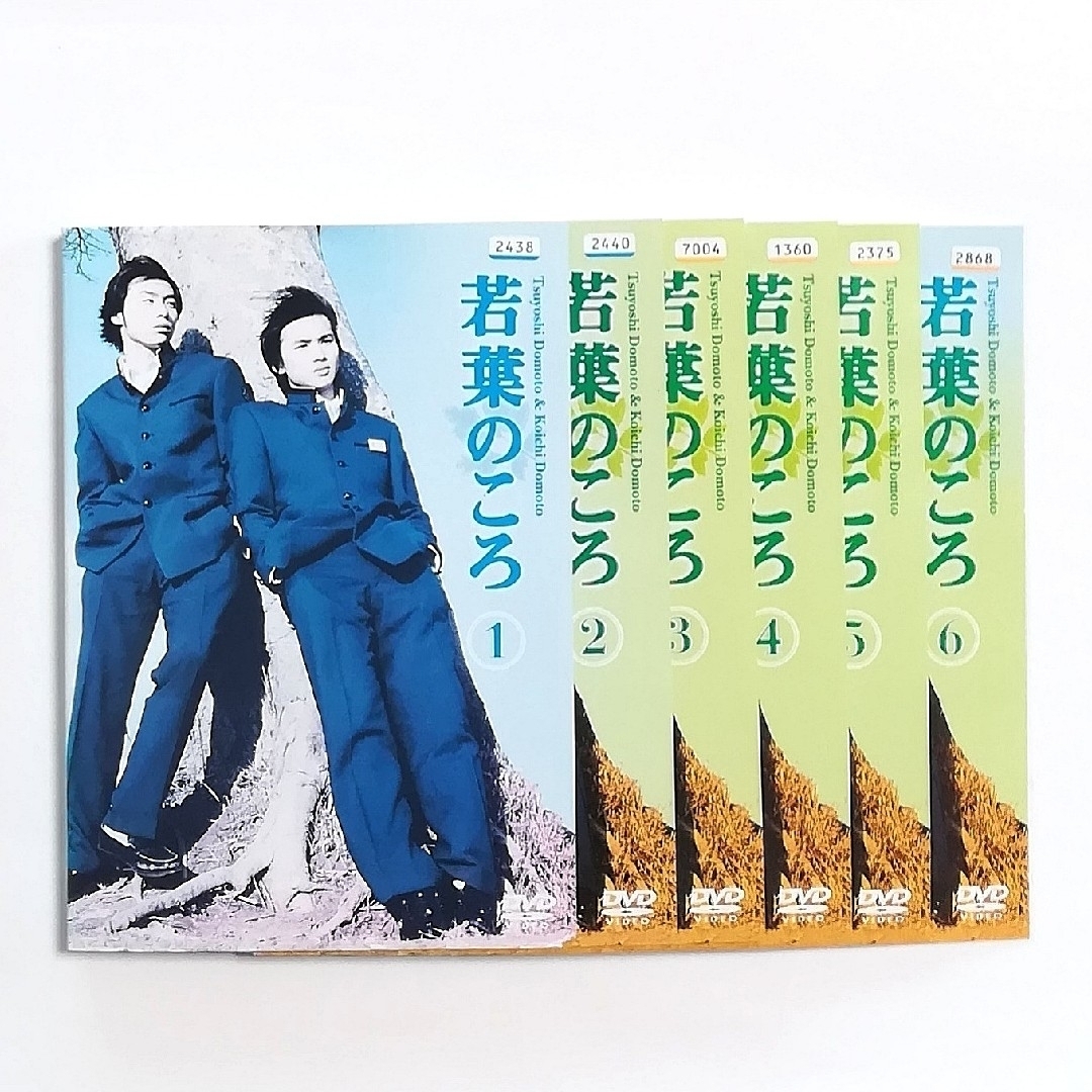 若葉のころ　DVD 全巻セット　堂本剛　堂本光一　KinKi Kids エンタメ/ホビーのDVD/ブルーレイ(TVドラマ)の商品写真