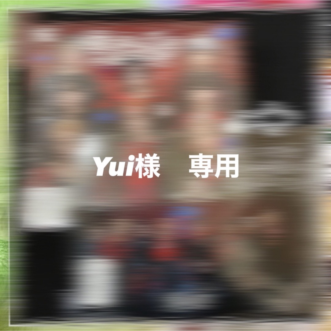 Yui様　専用 その他のその他(その他)の商品写真