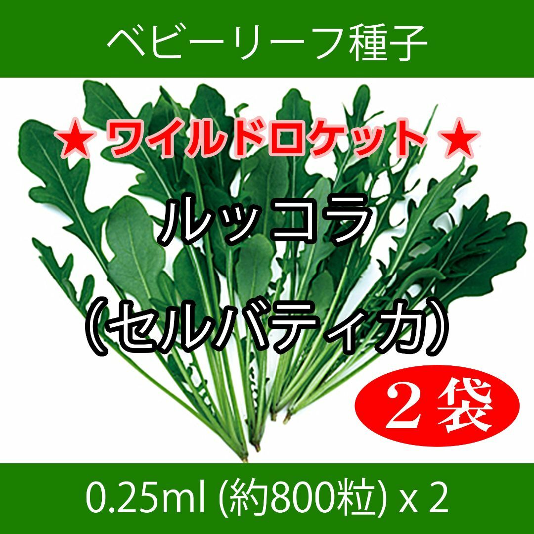 ベビーリーフ種子 B-30 ルッコラ（セルバティカ）0.25ml約800粒x2袋 食品/飲料/酒の食品(野菜)の商品写真