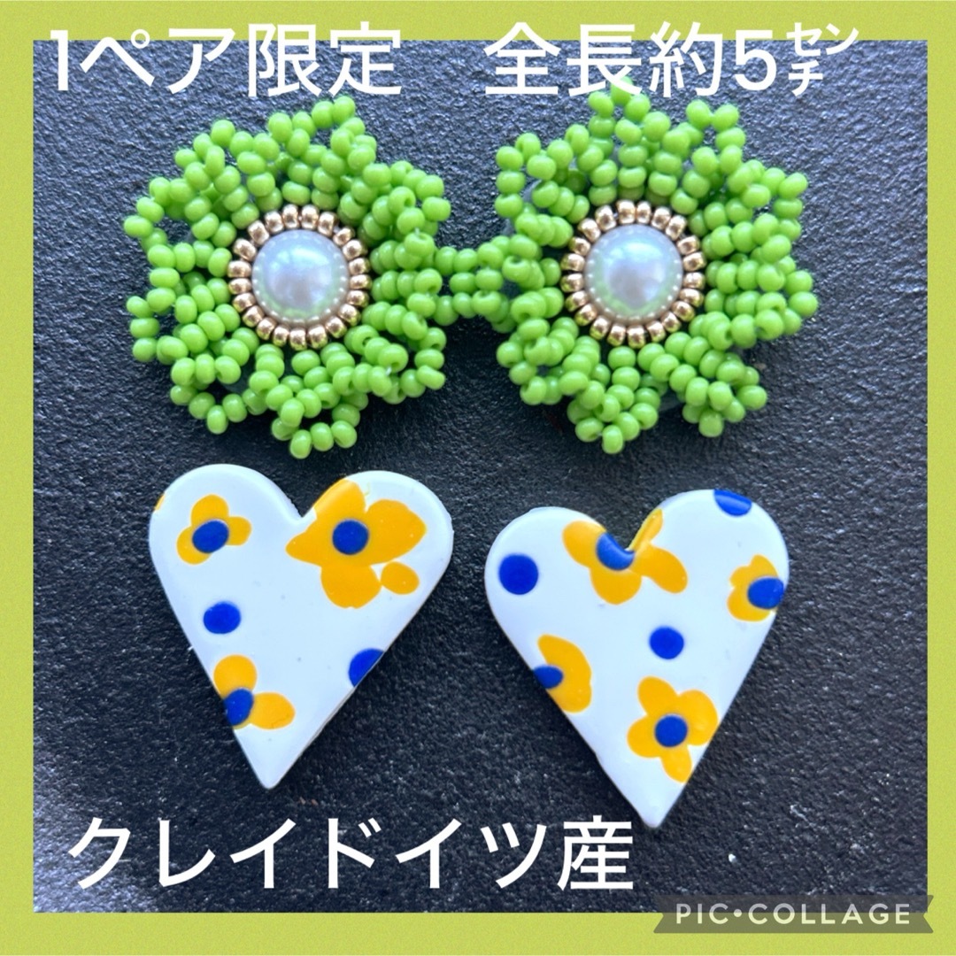 北海道ヤドリギ 宿木 縁起物 no2 希少 メス実付き 北海道ヤドリギ 宿木 縁起物 no2 希少 メス実付き
