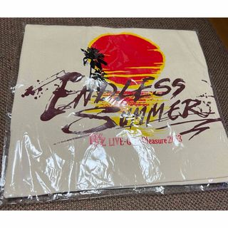 B'z LIVEGYMENDLESS SUMMER ライブグッズトートバッグ(ミュージシャン)