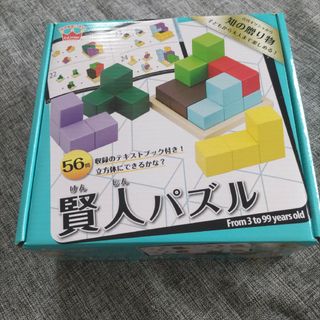 エドインター(Ed.inter)の【ema様専用】賢人パズル　エドインター(知育玩具)