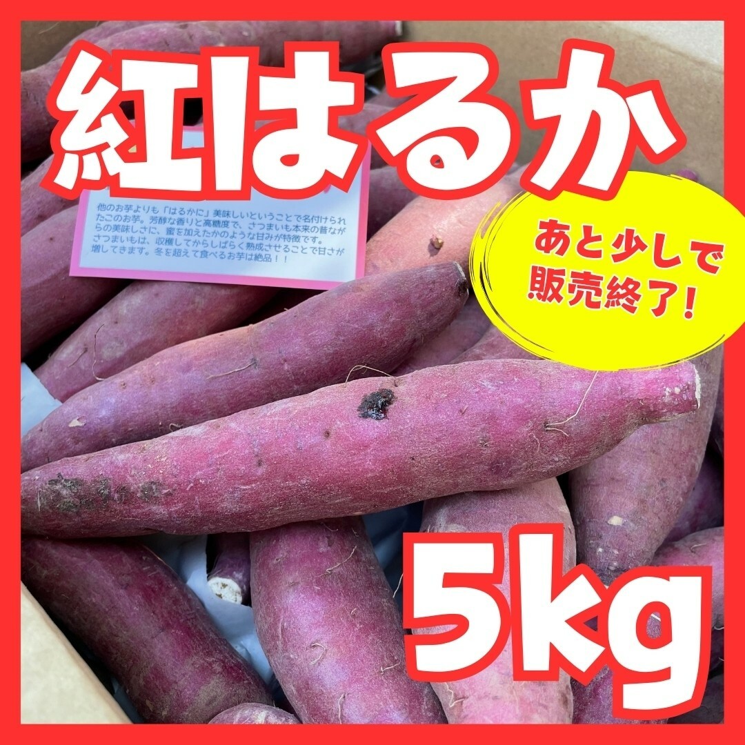 さつまいも紅はるか５kg 食品/飲料/酒の食品(野菜)の商品写真