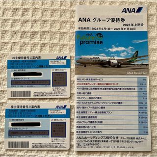 エーエヌエー(ゼンニッポンクウユ)(ANA(全日本空輸))のANA株主優待券2枚(航空券)