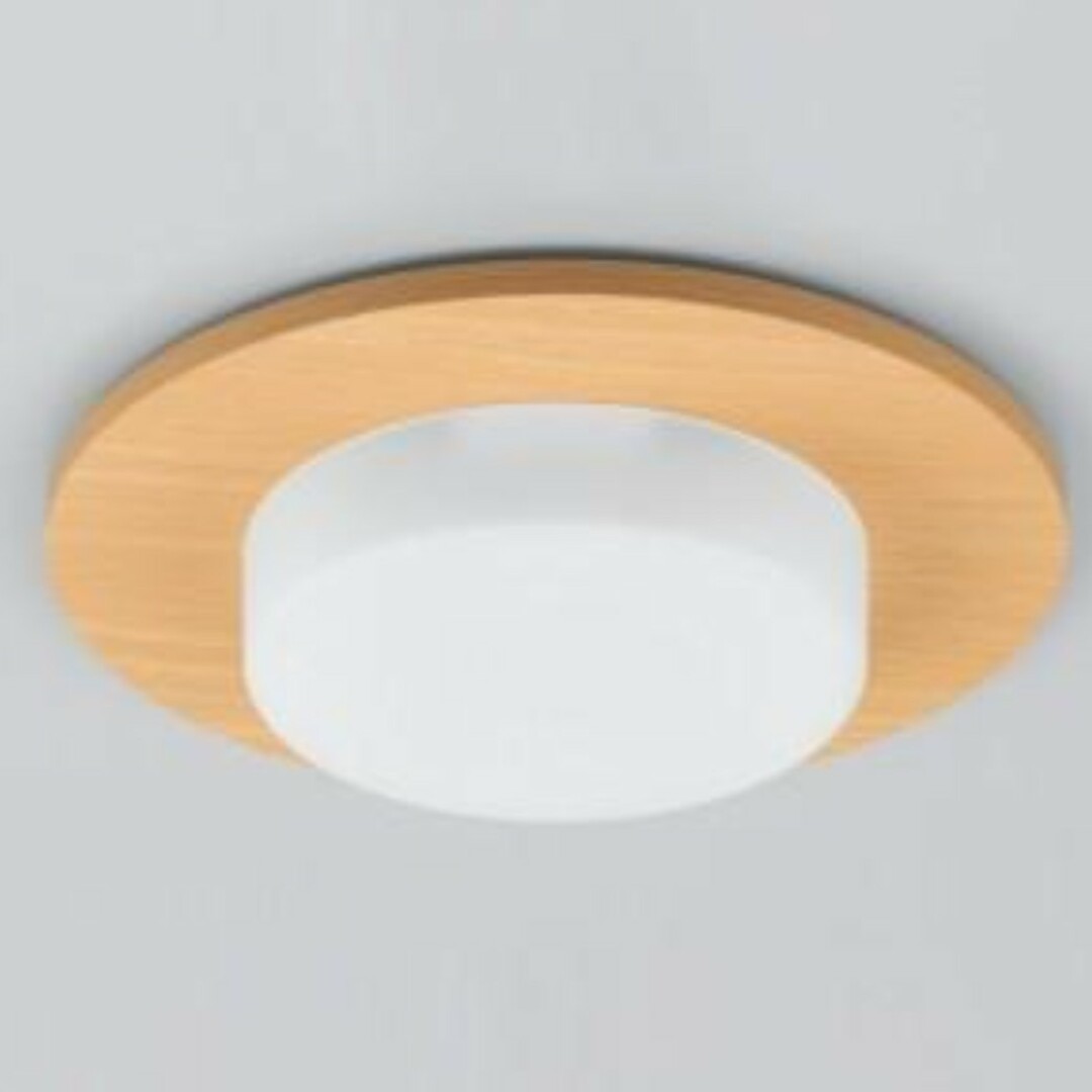 Panasonic 電球用装飾パネルLCX004C インテリア/住まい/日用品のライト/照明/LED(その他)の商品写真
