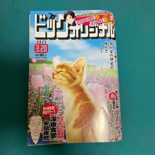 ショウガクカン(小学館)のビッグコミック オリジナル 2024年 3/20号 [雑誌](アート/エンタメ/ホビー)