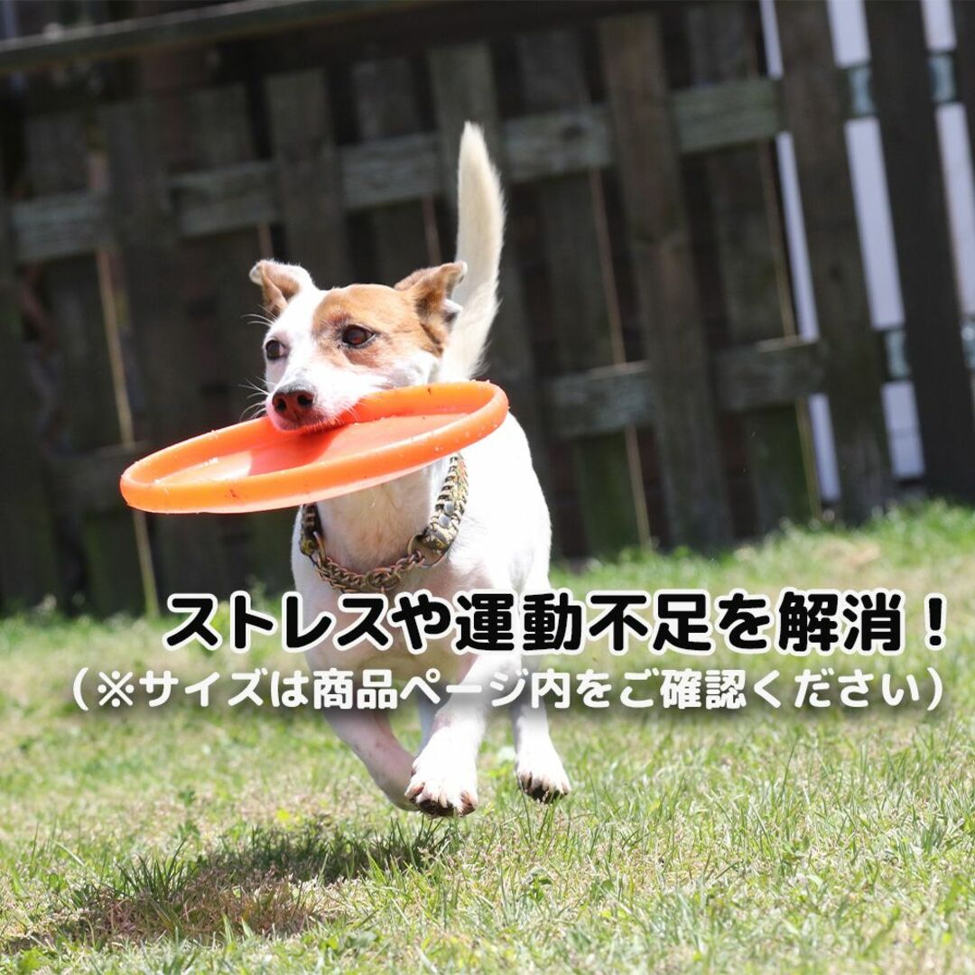 ドッグディスク Mサイズ ピンク フリスビー 初心者 ストレス 運動不足 犬 その他のペット用品(犬)の商品写真