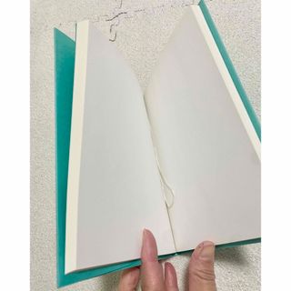 ティファニー(Tiffany & Co.)のTiffany Diary 無地ノート　未使用品　カード(ノート/メモ帳/ふせん)