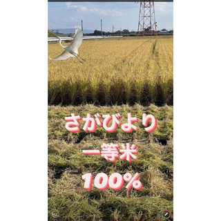 ⭐️新米 令和5年産1等米⭐️佐賀県産さがびより20k(5k×4袋)(米/穀物)