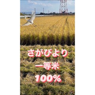 ⭐️新米 令和5年産1等米⭐️佐賀県産さがびより10k(5k×2袋)(米/穀物)