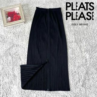 プリーツプリーズイッセイミヤケ(PLEATS PLEASE ISSEY MIYAKE)のプリーツプリーズ ダブルジップ ロングスカート イッセイミヤケ ブラック 2(ロングスカート)