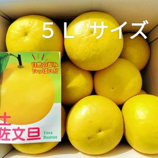 沖縄県産 勝山タンカン小玉S・2Sサイズ約２kg【常温便無料】2/2①の