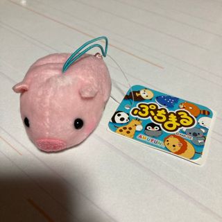 【新品未使用】ぷちまるアニマルズ ブタ(ぬいぐるみ)