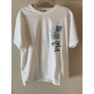 クロコダイルＴシャツ新品Ｌ