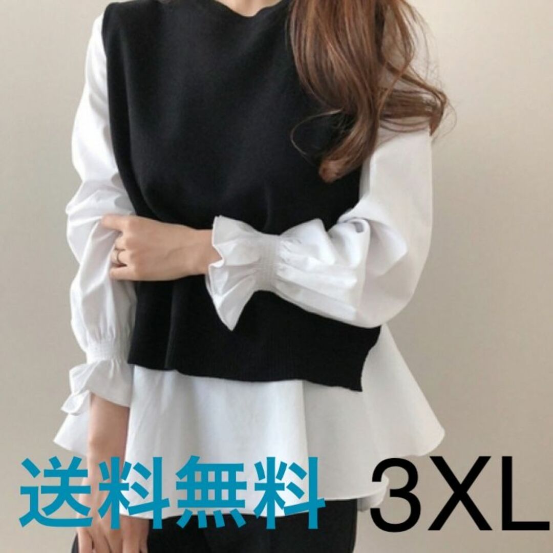 ニットベスト ブラウス ２点セット 3XL レディースのトップス(シャツ/ブラウス(長袖/七分))の商品写真