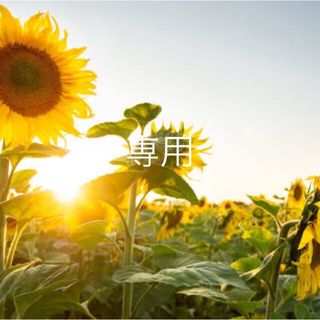 テータテート(tete a tete)のtete a tete  総柄ブラウス　90(ブラウス)