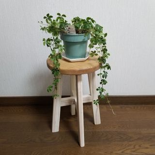 ハンドメイド　期間限定セール　スツール　椅子　茶　ホワイト　花台　観葉植物(スツール)