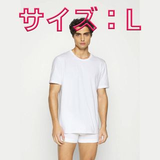 ナイキ(NIKE)のNIKE ナイキ インナーTシャツ 白 Lサイズ 1枚(その他)