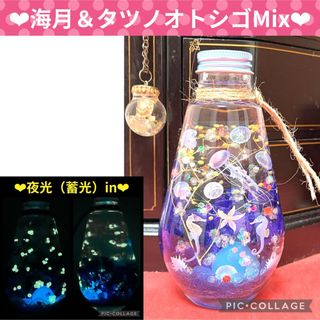 【海月＆タツノオトシゴ】〜❄︎おうち水族館❄︎〜❤︎蓄光Mixアクアリウム❤︎(プリザーブドフラワー)