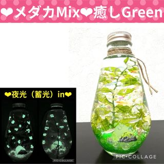 【メダカMix】〜❄︎癒しのGreen❄︎〜❤︎蓄光Mixアクアリウム❤︎(プリザーブドフラワー)