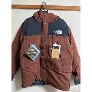 ザノースフェイス(THE NORTH FACE)のThe North Face Mountain Down Jacket(ダウンジャケット)