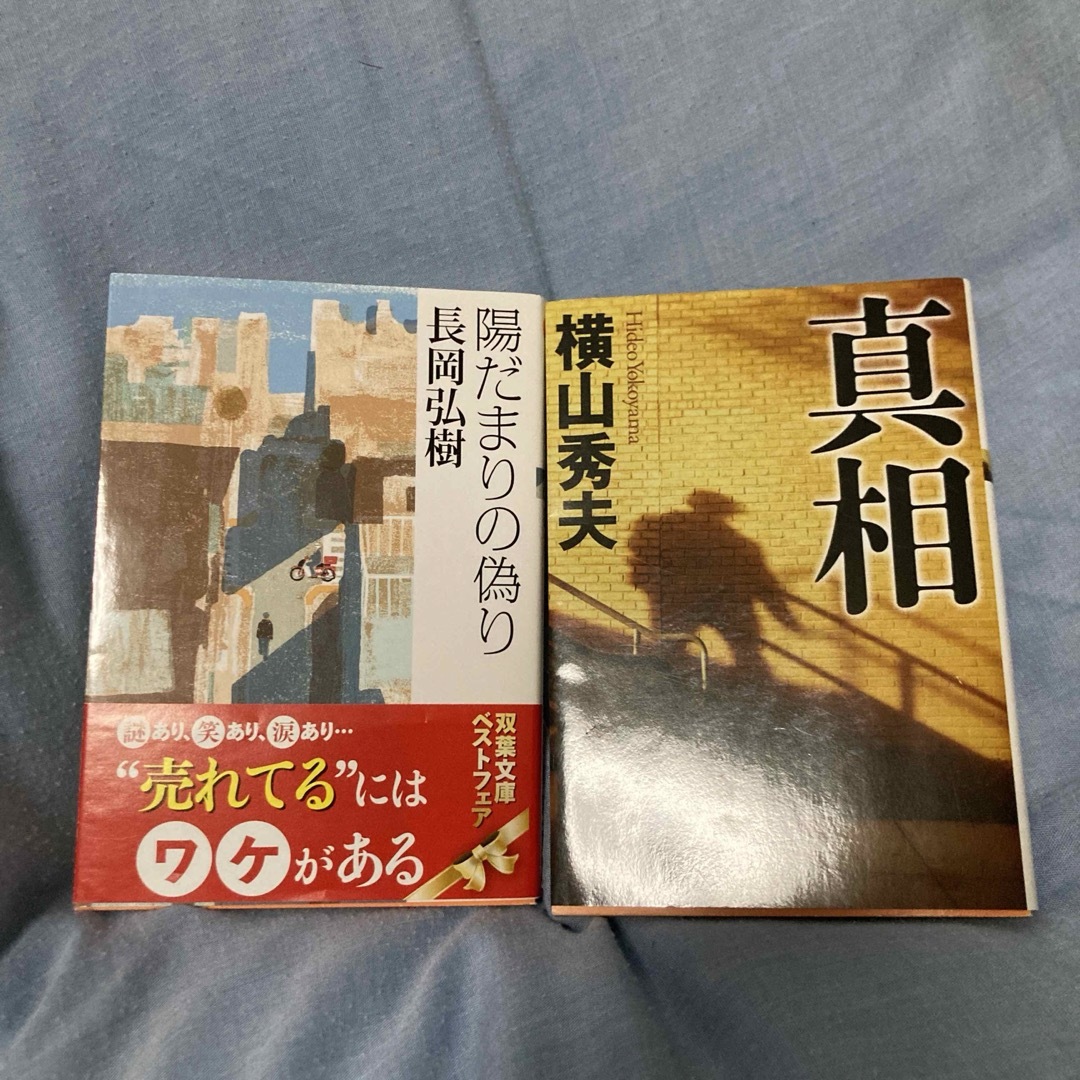 陽だまりの偽り/真相 エンタメ/ホビーの本(その他)の商品写真