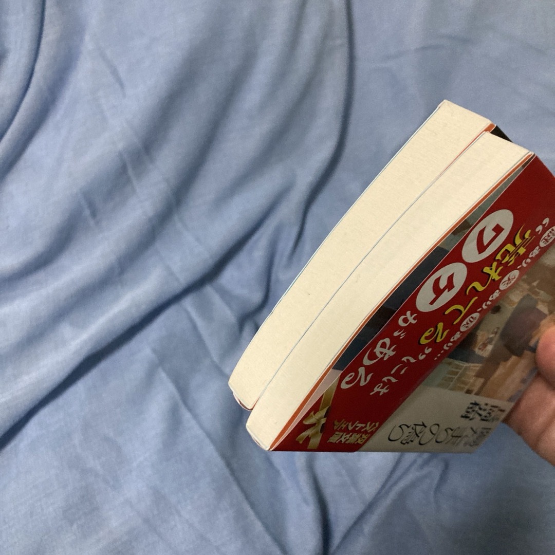 陽だまりの偽り/真相 エンタメ/ホビーの本(その他)の商品写真