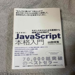 ＪａｖａＳｃｒｉｐｔ本格入門(コンピュータ/IT)